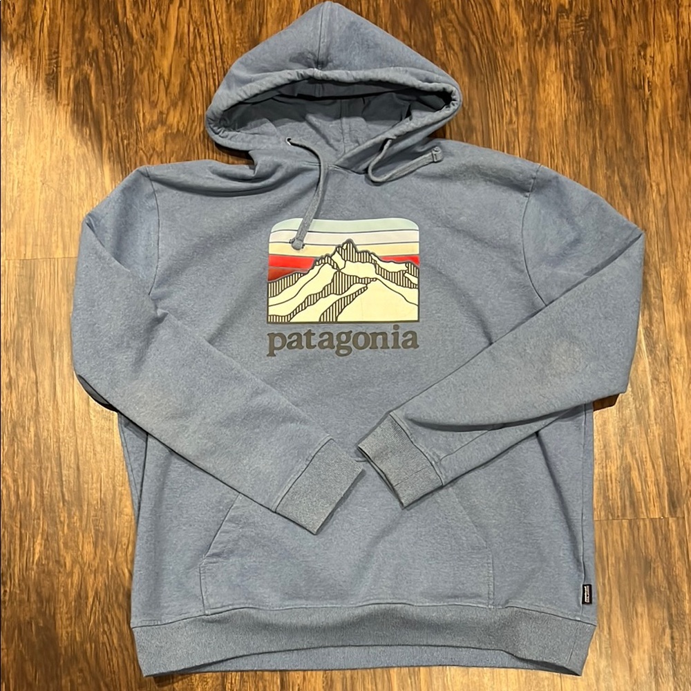 Patagonia Men's Blue Hoodie